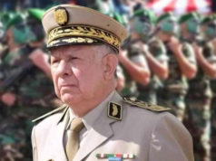 Les réseaux sociaux, une « tribune » pour des criminels connus pour leur haine envers l’Algérie